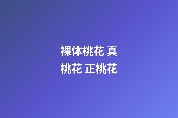 裸体桃花 真桃花 正桃花